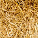 Exclusive Interview With Freekey Zekey of The Diplomats