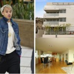 chris-brown-confused-neighbors